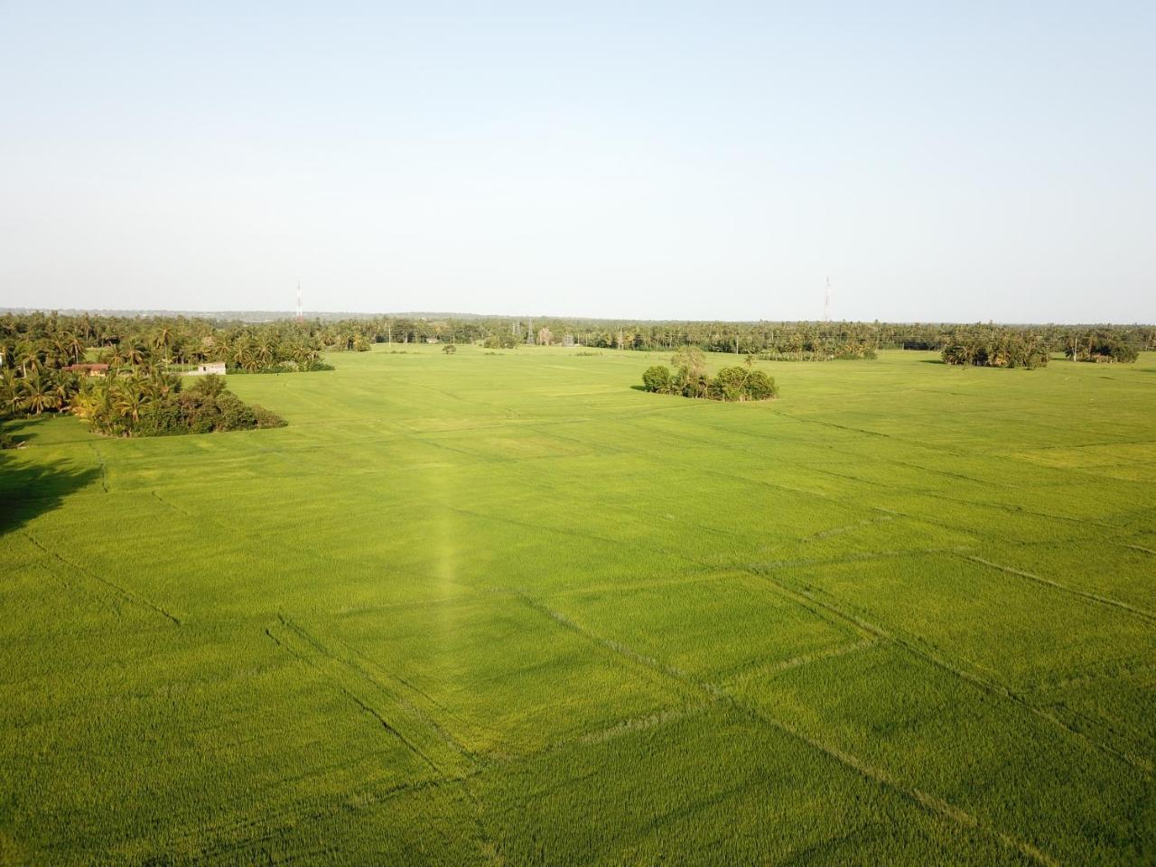 V Cabanas & Yala Safari Place Tissamaharama Zewnętrze zdjęcie