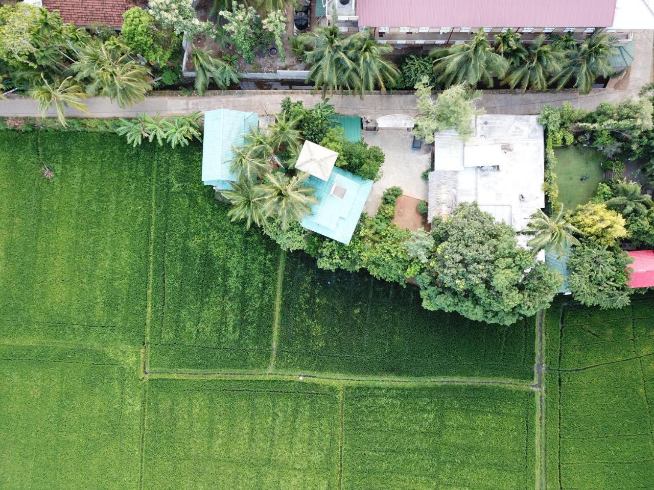 V Cabanas & Yala Safari Place Tissamaharama Zewnętrze zdjęcie